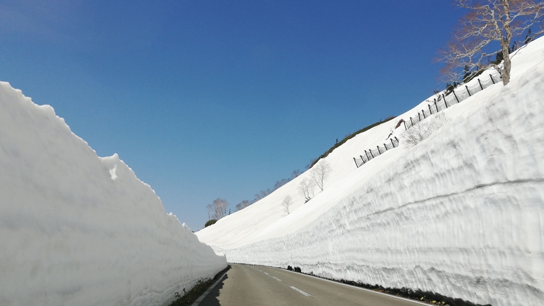 安比高原　ペンション　サンダーパパ